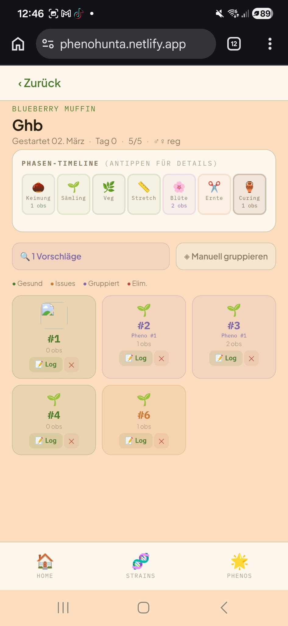 Phenohunter v1 Grow-Übersicht mit Phasen-Timeline